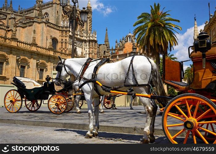 Seville horse carriages in Cathedral of Sevilla Andalusia Spain