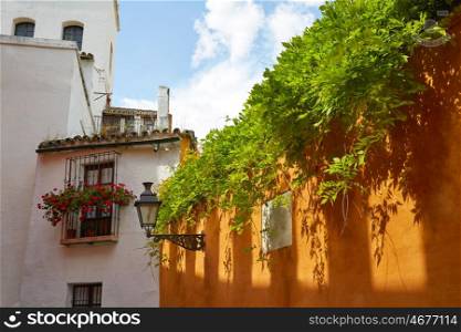 Seville Juderia barrio in Andalusia Sevilla of Spain