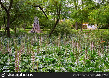 seville maria luisa park gardens in andalucia spain