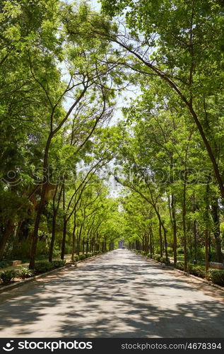 seville maria luisa park gardens in andalucia spain