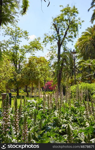 seville maria luisa park gardens in andalucia spain