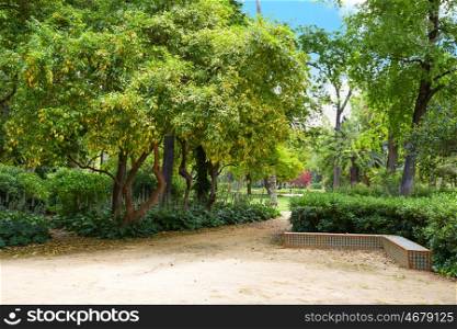 seville maria luisa park gardens in andalucia spain