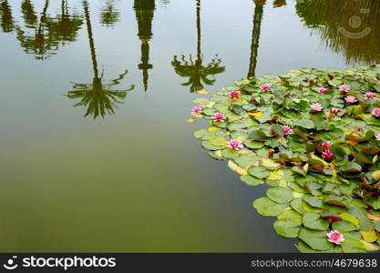 seville maria luisa park gardens in andalucia spain