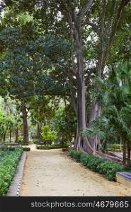 seville maria luisa park gardens in andalucia spain