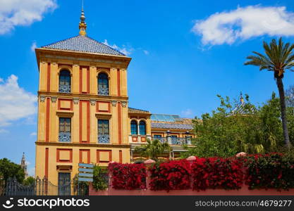 Seville Palacio de San Telmo in Andalusia of spain