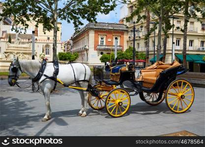 Seville Puerta Jerez horse carriage in Andalusia Sevilla spain