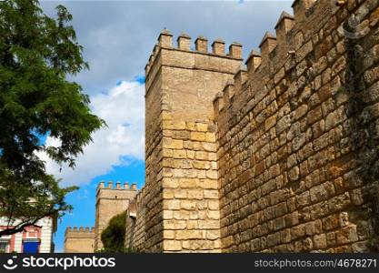 Seville Real Alcazar fortress wall Sevilla Andalusia Spain
