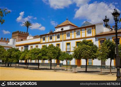 Seville Real Alcazar patio de Banderas Sevilla spain andalusia