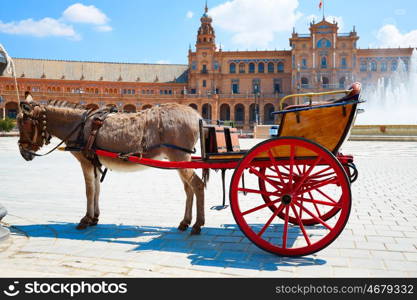 Seville Sevilla Plaza de Espana donkey carriage Andalusia Spain square