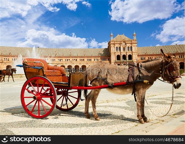 Seville Sevilla Plaza de Espana donkey carriage in Andalusia Spain square