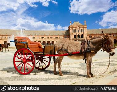 Seville Sevilla Plaza de Espana donkey carriage in Andalusia Spain square
