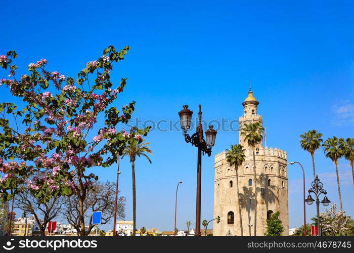 Seville Torre del Oro tower in Sevilla Andalusia Spain