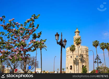 Seville Torre del Oro tower in Sevilla Andalusia Spain