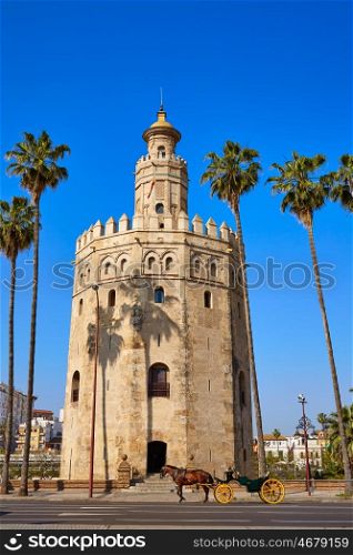 Seville Torre del Oro tower in Sevilla Andalusia Spain