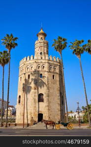 Seville Torre del Oro tower in Sevilla Andalusia Spain