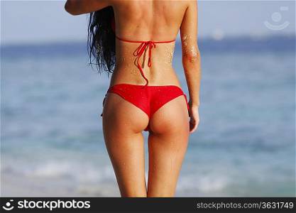 Sexy woman back on sea background