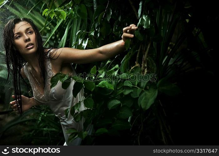 Sexy young brunette beauty in a rain forest