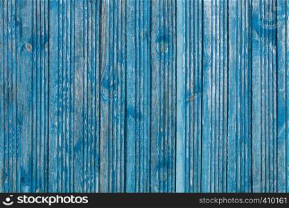 Shabby blue paint on old wooden boards and wood texture. Old wooden boards and shabby paint, wood texture
