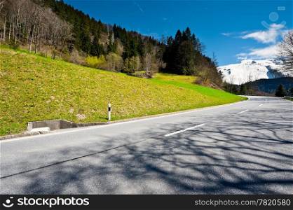 Shade of the Trees on Asphalt Road in Switzerland