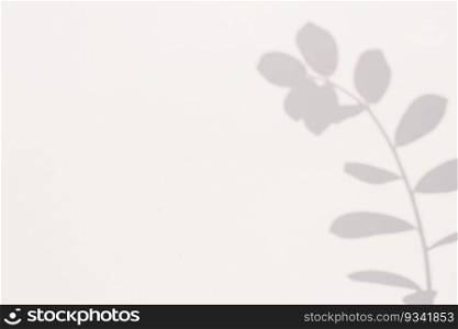 Shadow from a plant on a gray background with copy space