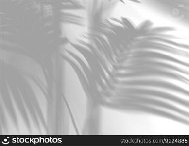 Shadow from palm leaves, overlay effect. Realistic gray shadow on white background. Applicable for product presentation, photos, backdrop. Sun light. 3D render. Shadow from palm leaves, overlay effect. Realistic gray shadow on white background. Applicable for product presentation, photos, backdrop. Sun light. 3D render.