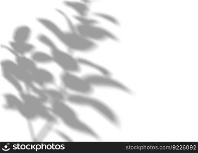 Shadow from plants, leaves, overlay effect. Realistic gray shadow on white background. Applicable for product presentation, photos, backdrop. Sun light. 3D render. Shadow from plants, leaves, overlay effect. Realistic gray shadow on white background. Applicable for product presentation, photos, backdrop. Sun light. 3D render.