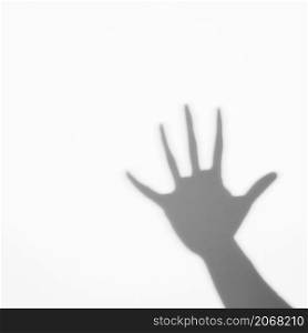 shadow human palm white backdrop