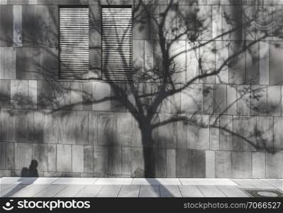 Shadow of a man and a tree reflected on the wall of a modern building with closed windows, in Stuttgart city, Germany. Environment issues.