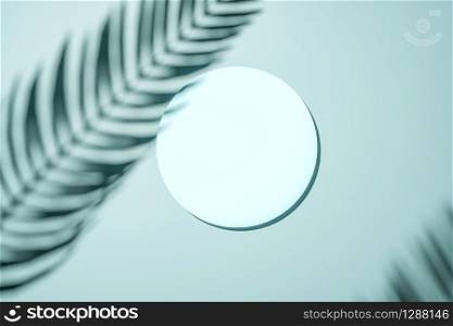 Shadow of a palm frond on a green wall with central blank circle canvas or picture frame in an interior design template concept. Border arrangement