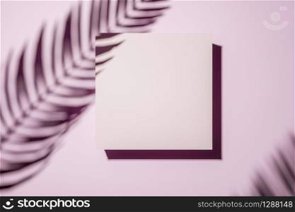 Shadow of a palm frond on a pink pastell wall with central blank square canvas or picture frame in an interior design template concept