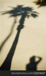 Shadow of a palm tree and a person on the sand
