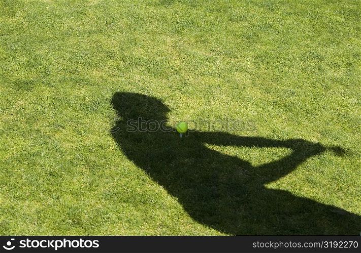 Shadow of a person on the grass