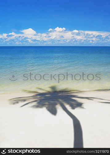 Shadow of a tree on the beach, Providencia, Providencia y Santa Catalina, San Andres y Providencia Department, Colombia