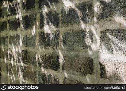Shadow of leave on grunge concrete wall