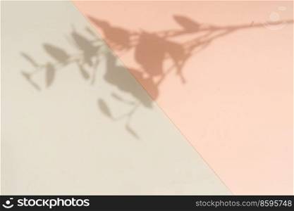 Shadow of leaves on a branch on the wall, summer relax background. Shadow of leaves on the wall