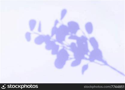 Shadow of leaves on the wall, summer relax background in color of the year 2022 blue very peri. Shadow of leaves on the wall