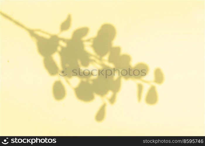 Shadow of leaves on the wall, summer relax background in ywloow color. Shadow of leaves on the wall