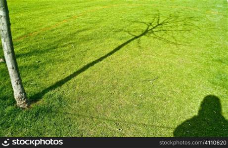 Shadow of photographer and tree, Hyde Park, London