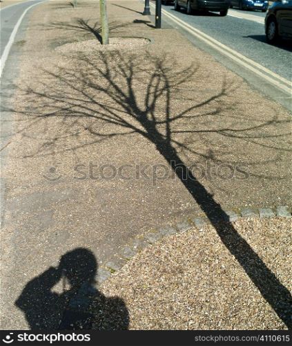 Shadow of photographer and tree, London