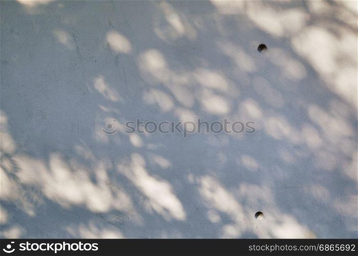 shadow of tree on raw concrete wall texture