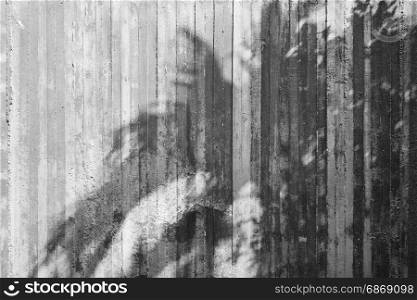 shadow of tree on raw concrete wall with wooden formwork texture