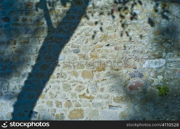 Shadow of tree on stone wall, Lisbon, Portugal