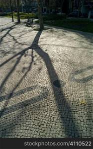 Shadow of winter trees on Lisbon pavement