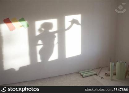 Shadow of woman cleaning windows in new apartment