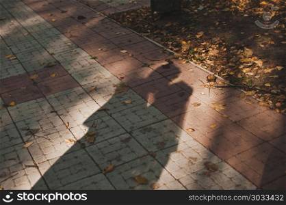 Shadows of the newly-married couple on the earth.. Shadows of kissing people 2373.. Shadows of kissing people 2373.