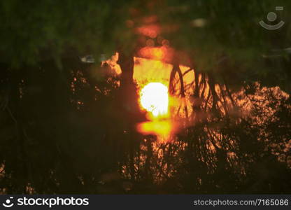 Shadows of the sunset on the water.