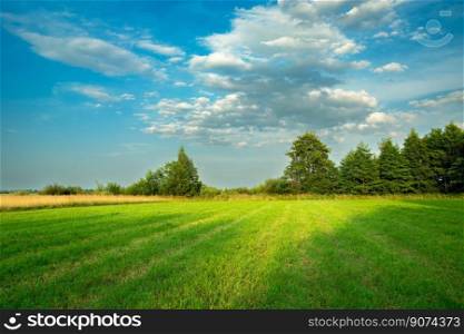 Shadows on a beautiful green meadow with trees and clouds on a blue sky, summer landscape, Nowiny, Poland