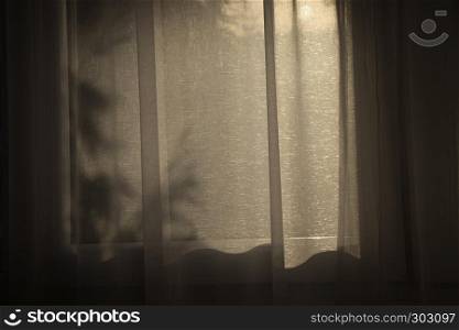 Shadows on the curtain indoor