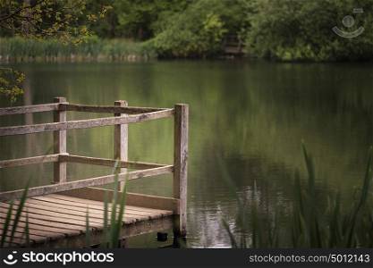 Shallow depth of field landscape image of peaceful Summer lake in English countryside