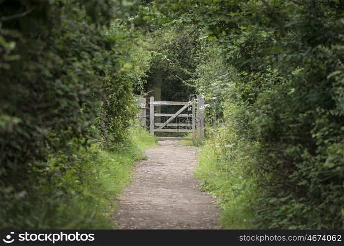 Shallow depth of field landscape image of tree covered footpath leading to distant gate